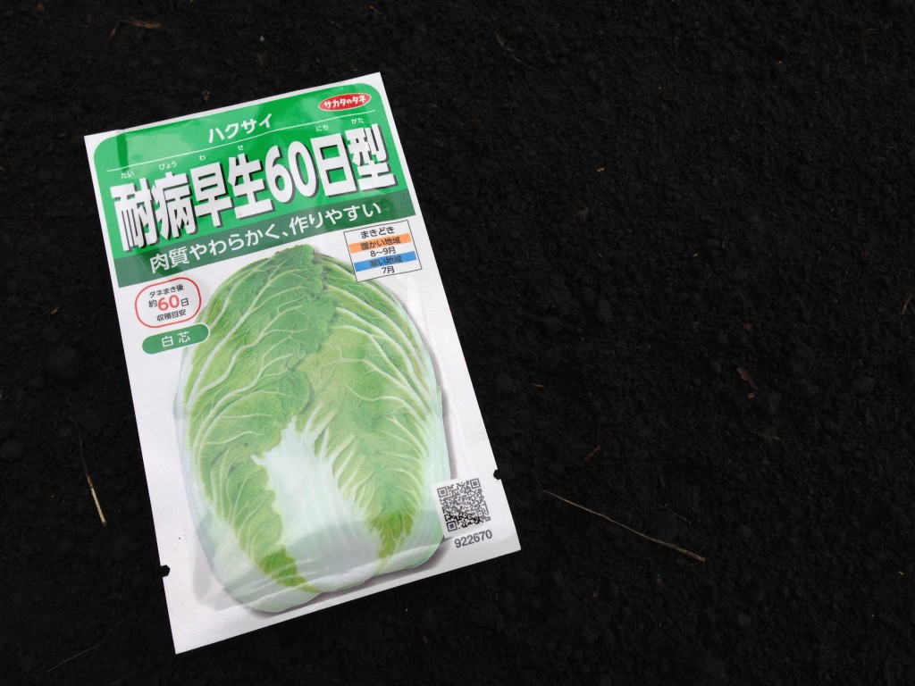 白菜の種袋表