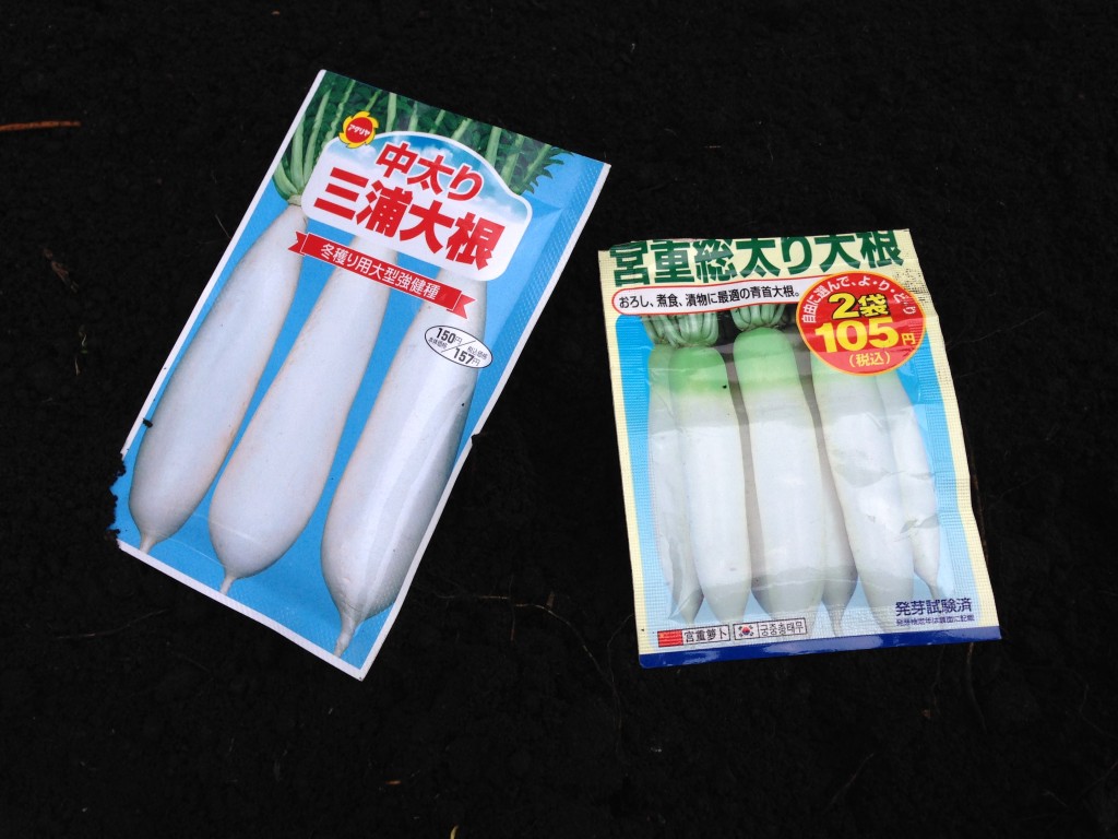 大根の種袋