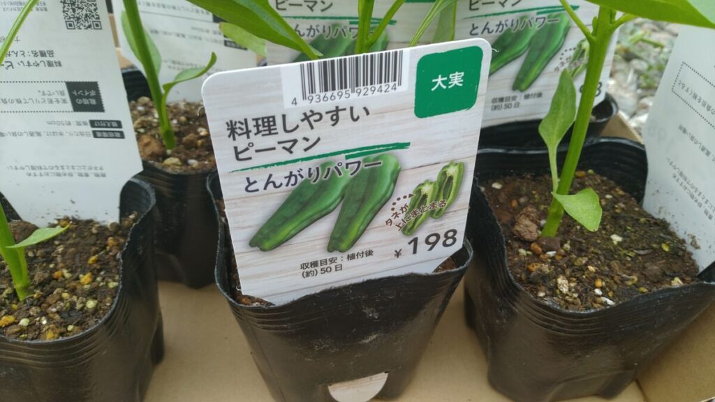 とんがりパワーピーマン