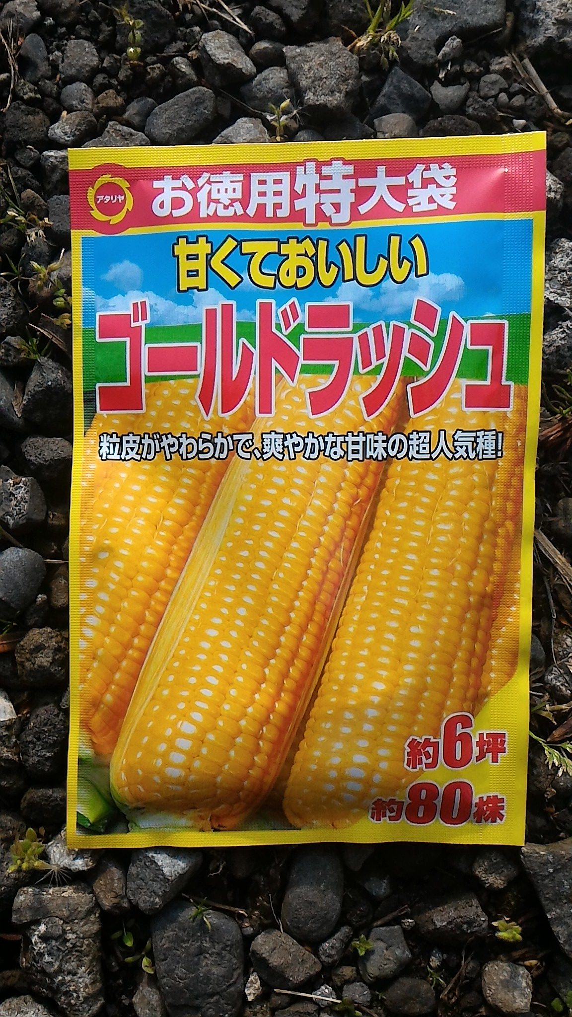 とうもろこし（ゴールドラッシュ）の種袋①