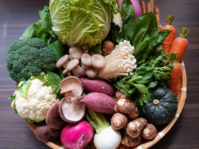 家庭菜園収穫野菜