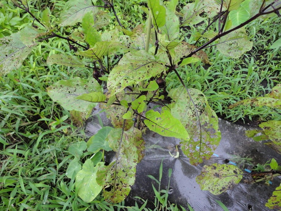 dsc00577