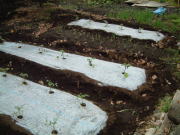 dscf0028