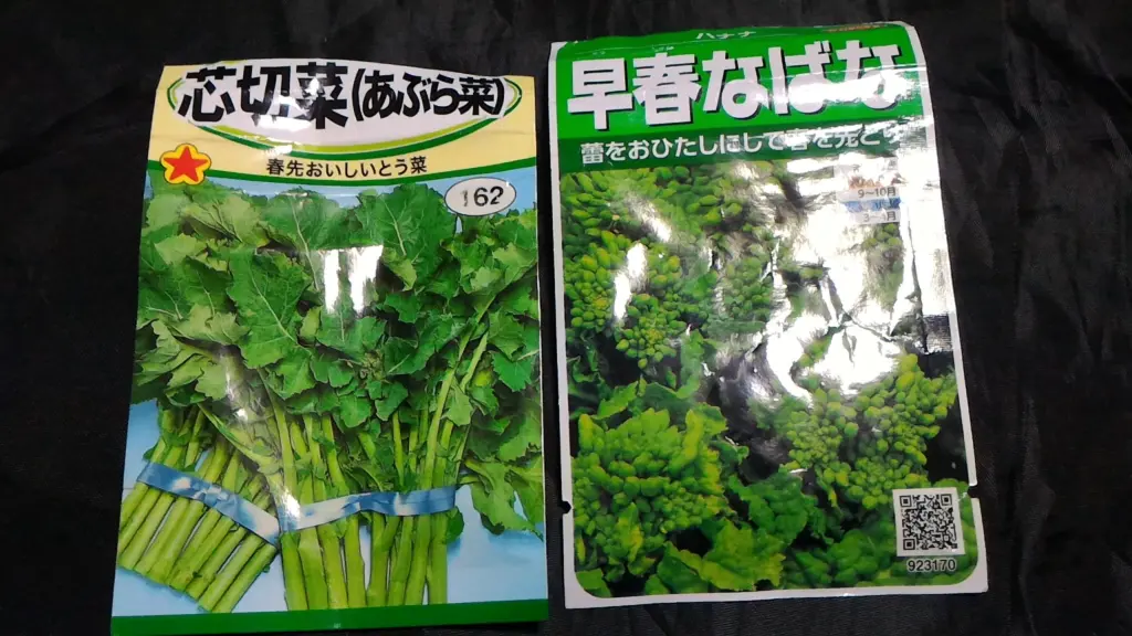 油菜と早春なばなの種①
