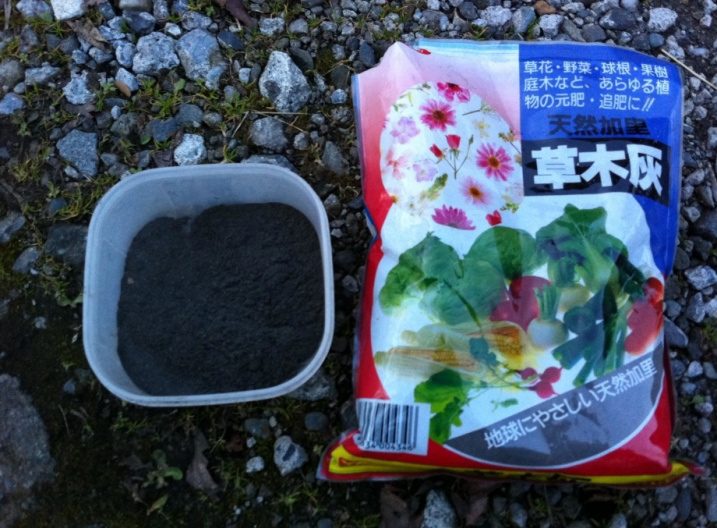 じゃがいもの切り口に草木灰