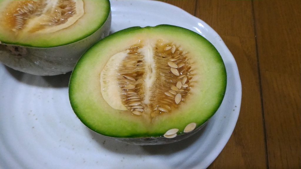 収穫したプリンスメロン(6月28日)