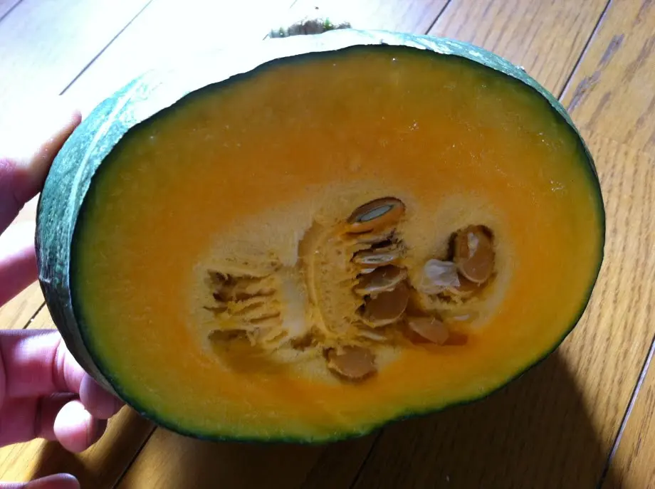 収穫したかぼちゃを2つに切断