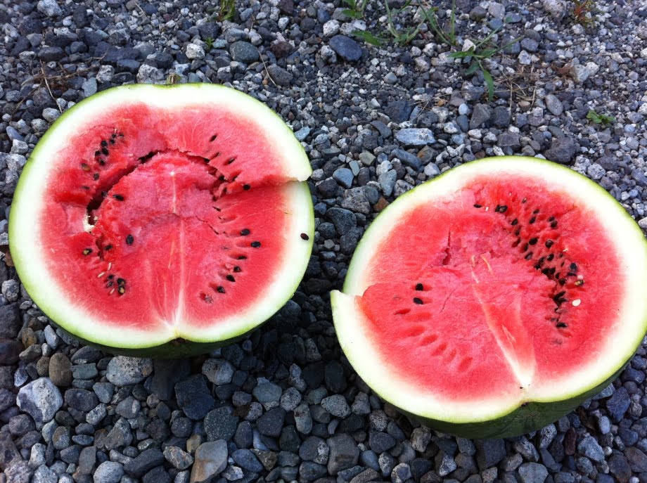 すいかの食べ頃を判断①