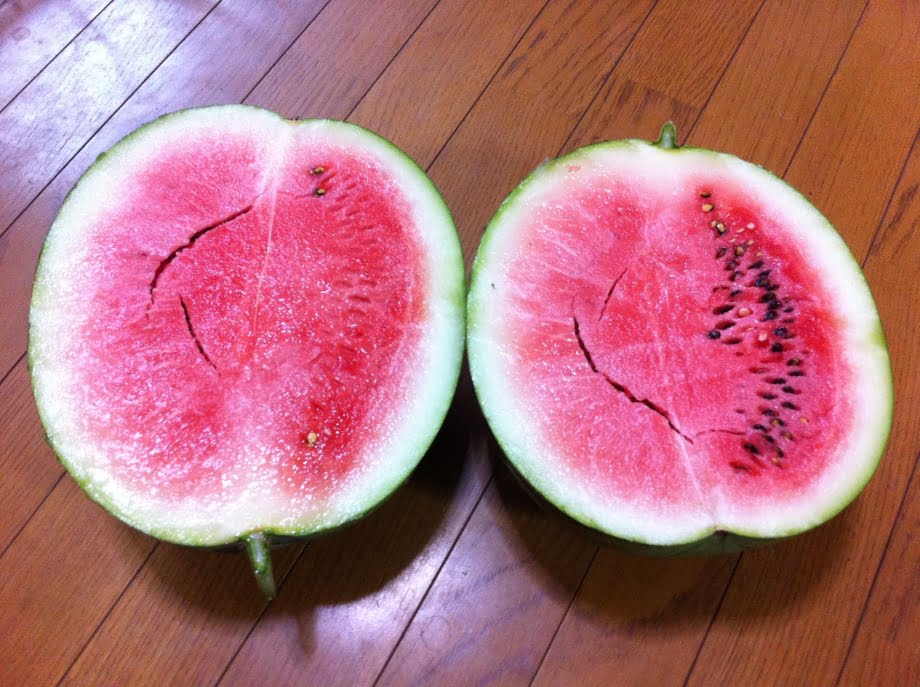 すいかの食べ頃を判断②
